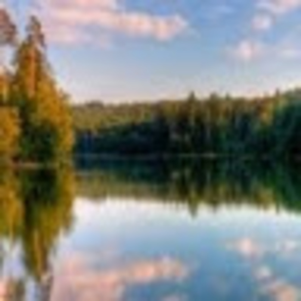 Meet your Posher, Sophia